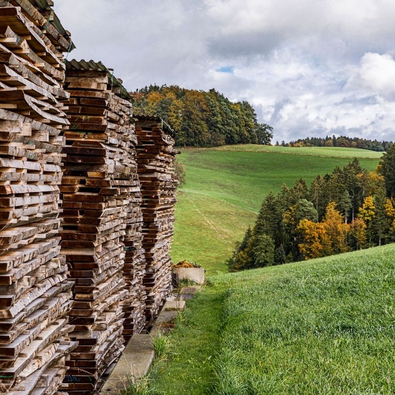 HOLZKUGELBAHN STANDARD 16