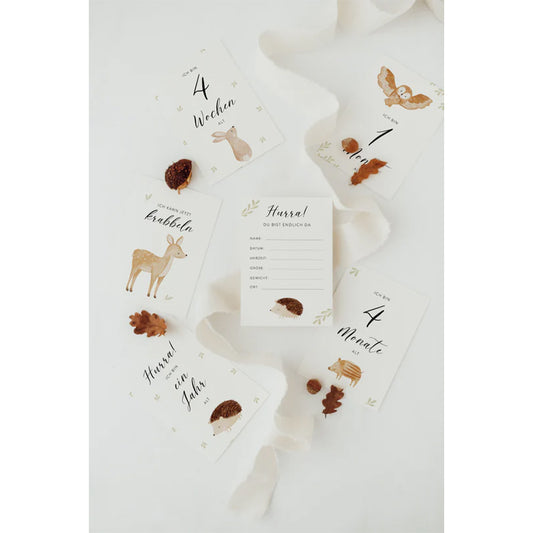 Hej Hanni - Meilensteinkarten "Erstes Babyjahr - Waldtiere"