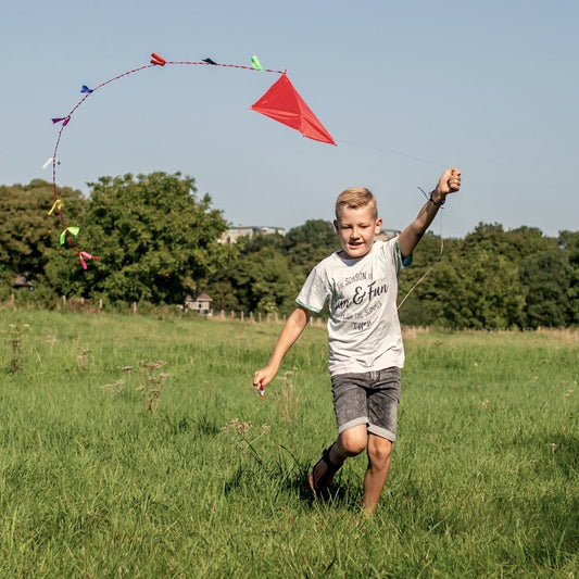 Huckleberry by Kikkerland - Drachen / Kinderdrachen