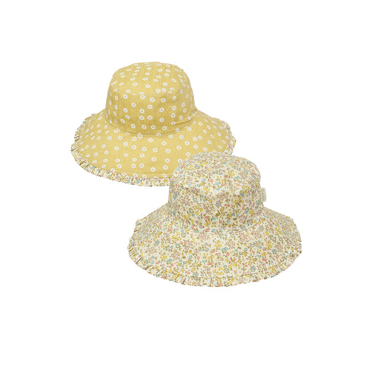 WENDE-SONNENHUT PETAL DAISY