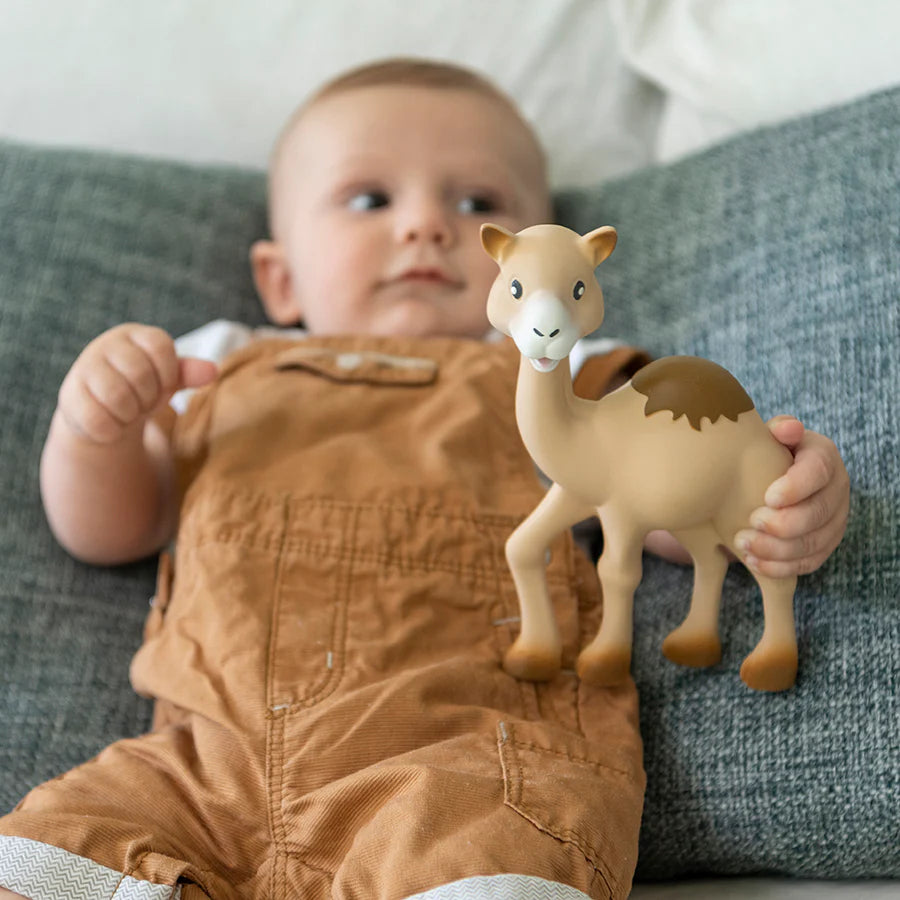 Sophie La Girafe - Babyspielzeug "Al’Thir das kleine Dromedar"
