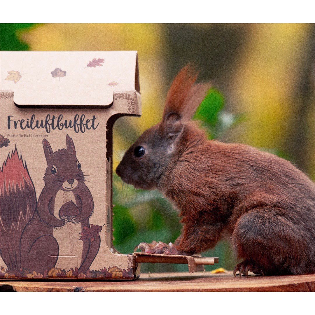 Die Stadtgärtner - Freiluftbuffet Eichhörnchen