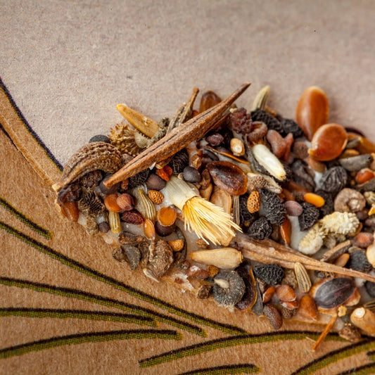 Die Stadtgärtner - Saatstecker-Karte "Hurra, du bist da"