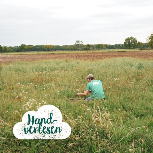 Die Stadtgärtner - Wunscherfüller, klein