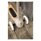 Banwood - Kinder Roller Scooter Beige