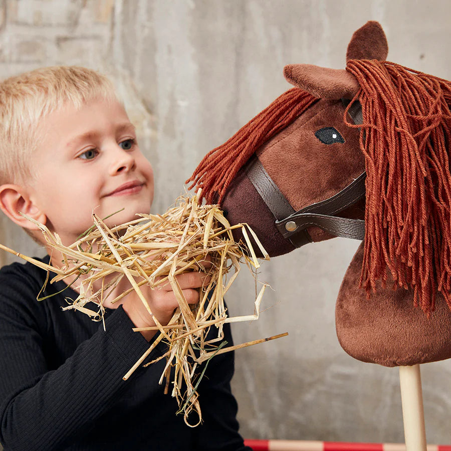 By Astrup - Steckenpferd "Hobby Hourse", 68 cm