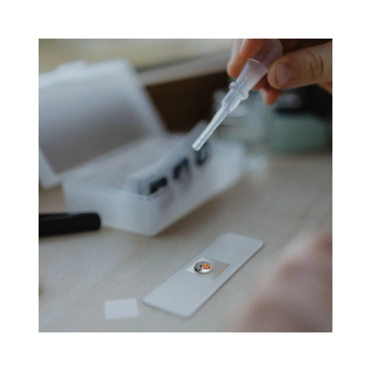 KIDYWOLF Kidymicroscope – Kinder Mikroskop mit 3 Zoomstufen & Licht