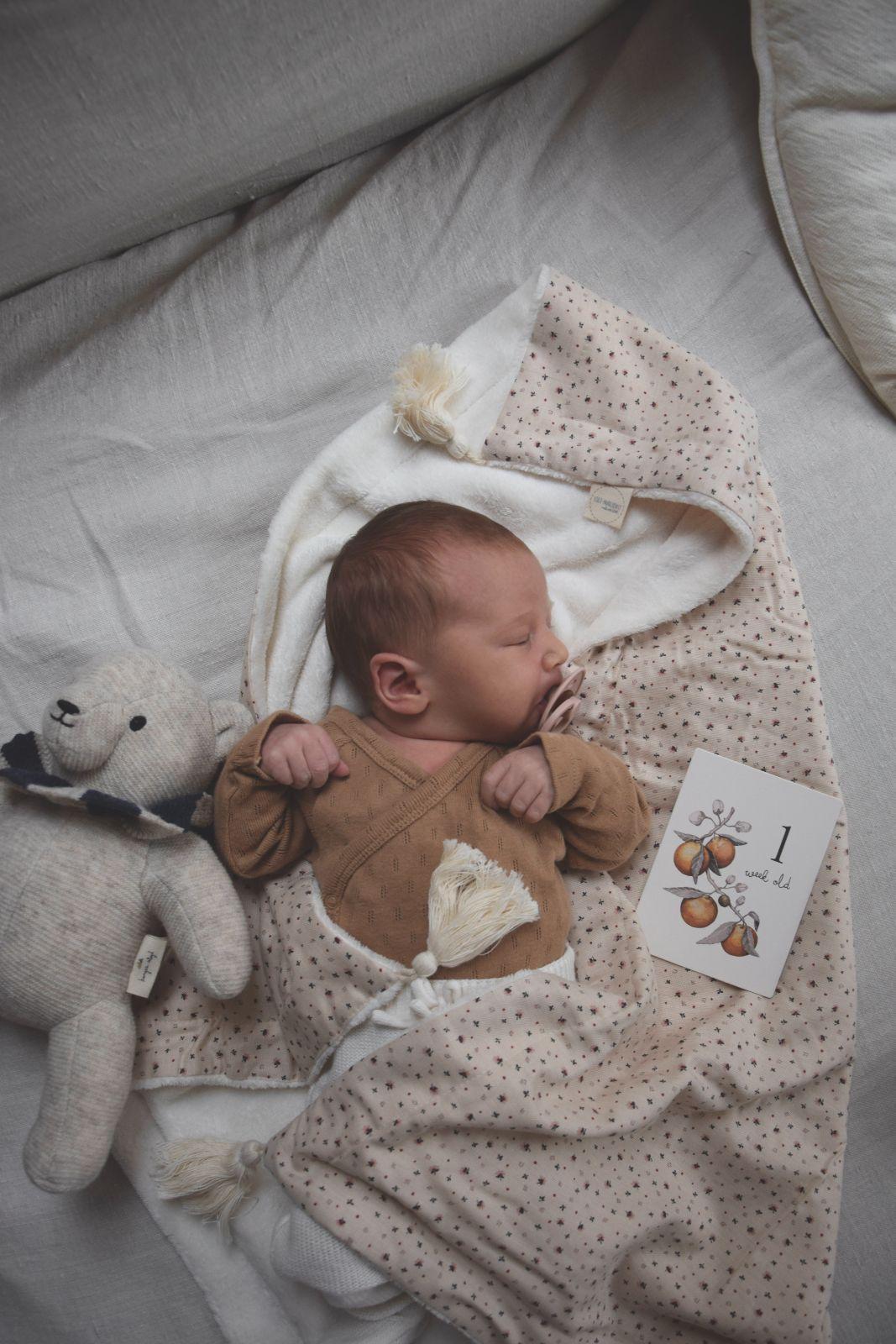 BABY MEILENSTEINKARTEN