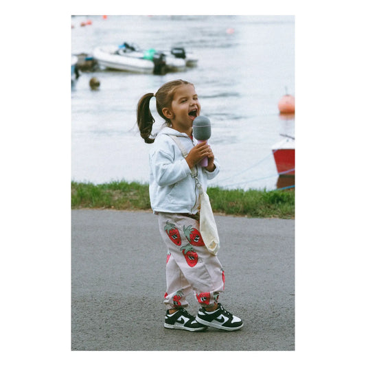 Mobility on Board – Karaoke Mikrofon „Micro Groovy Marshmallow“, MOB