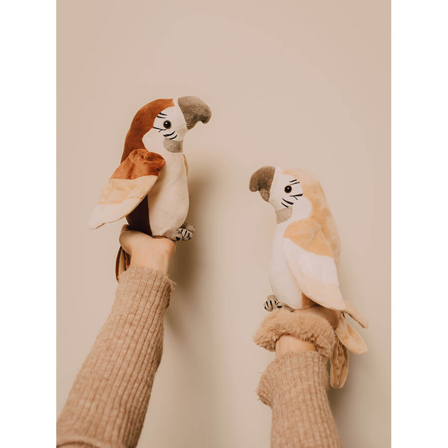 SPRECHENDER PAPAGEI - PIERRE