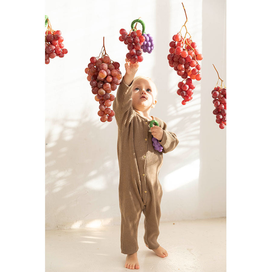 Oli & Carol - Beißring & Rassel "Grape" aus Naturkautschuk