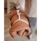 Play & Go – Bio Babynest & Spielmatte "Bloom" Braun