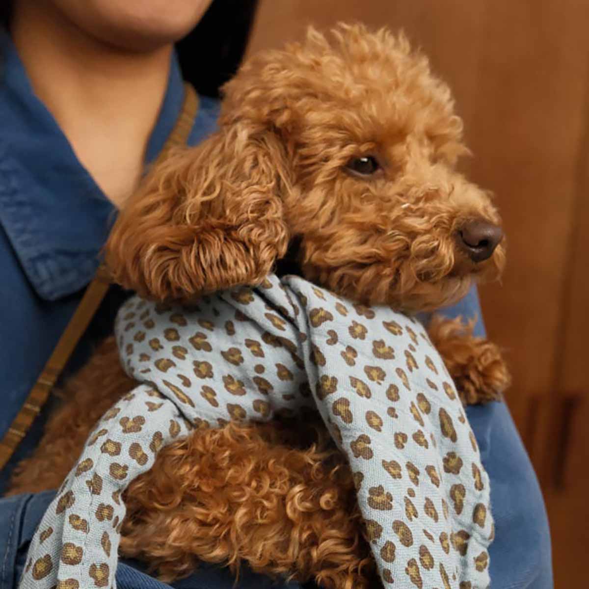 Rose in April - Mulltuch "Leo Blue Sky", 70 x 70 cm und 100 x 100 cm