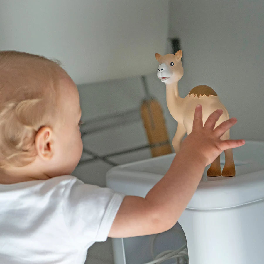 Sophie La Girafe - Babyspielzeug "Al’Thir das kleine Dromedar"