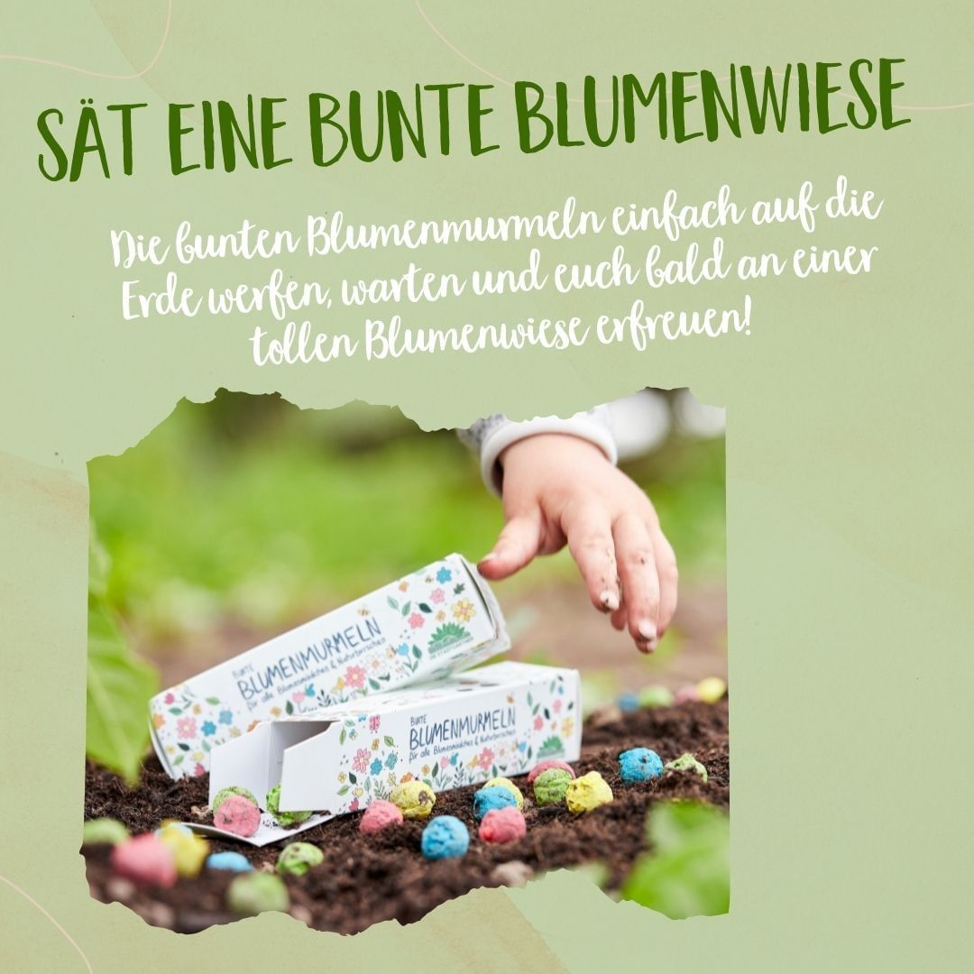 Die Stadtgärtner - Blumenmurmeln - Bunte Saatbomben